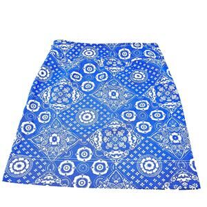 Talbots Skirt Size 4 Knee Length Blue White A-line Lined Summer Tennis